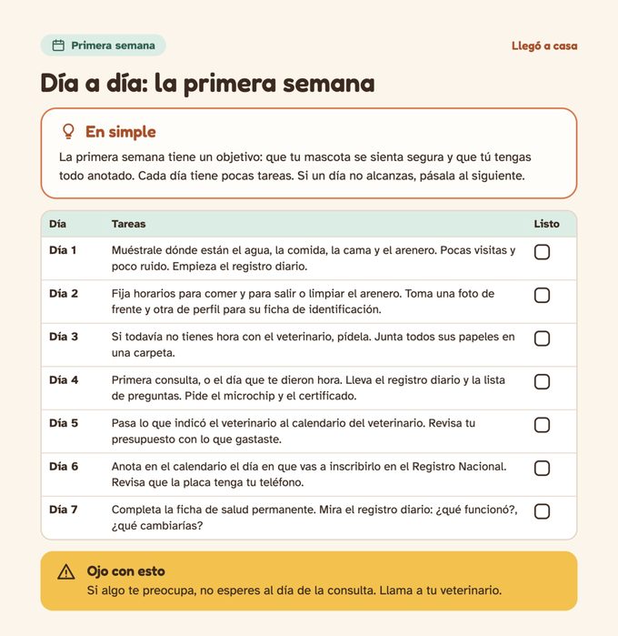 Página del kit con el día a día de la primera semana